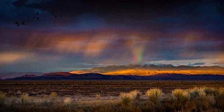 Stunning Nevada wilderness wall art featuring a morning prairie at dusk with vibrant orange clouds on the horizon.