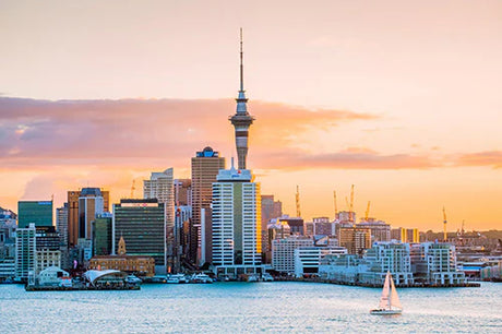 New Zealand cityscape wall art featuring skyscrapers, urban towers, high-rises, and waterway horizon
