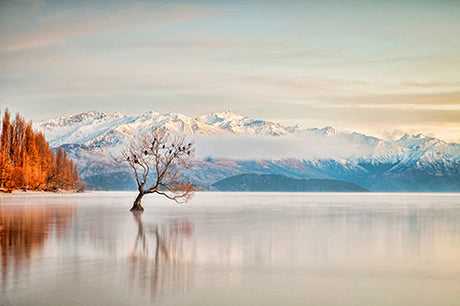 Otago Collection Wall Art featuring a Winter Wilderness Scene with Lake Reflections and Mountain Landforms