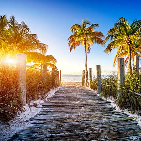 Wooden boardwalk to Palm Beach shoreline with palm trees, white sand, and golden sunrise – tropical beach wall art for coastal home or office décor.