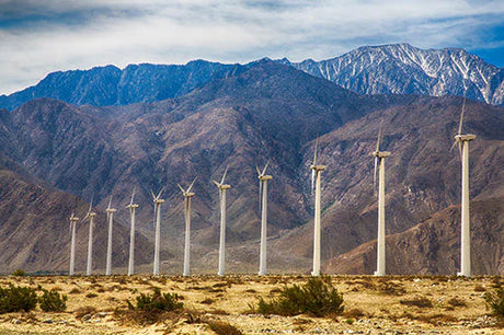 Palm Springs wall art featuring mountain range, wind farm, and valley in an ecoregion setting