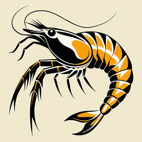 Shrimp wall art print featuring bold stylized illustration of orange and black shrimp perfect for coastal kitchen or seafood-themed decor