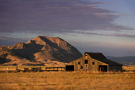 Rural South Dakota landscape featuring mountains, hills, plains and grassland in wall art collection