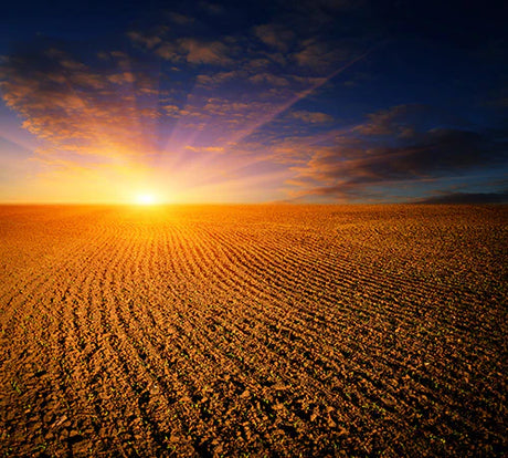 Vibrant Ukrainian sunset wall art featuring yellow sun, orange afterglow and dusk clouds