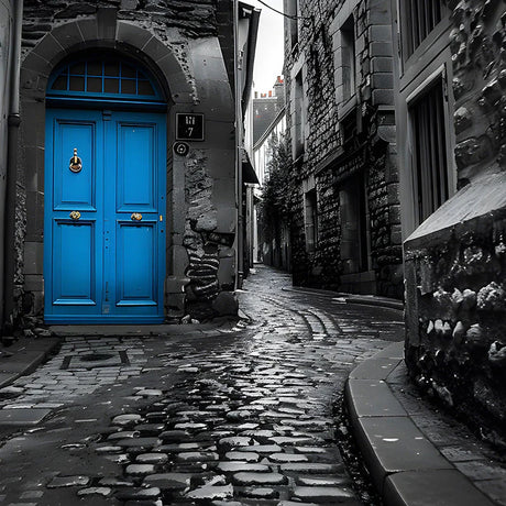 Urban scenery photography wall art of cobblestone alley with vibrant blue door, black and white street scene print for modern city decor