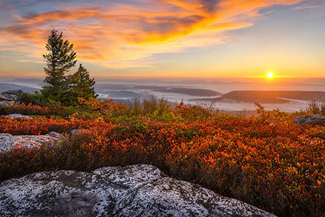 West Virginia landscape wall art with sunrise over mountain ridge and autumn foliage – scenic nature decor for home or cabin