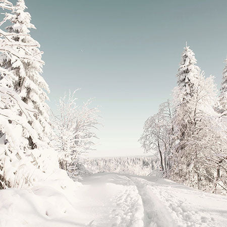 Winter wall art featuring a serene snowy forest with frosted trees, soft light, and a snow-covered path — Winter wall art collection for seasonal home decor.
