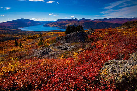 Stunning Yukon Territory wall art depicting mountainous wilderness and highland landscape under cloudy skies.