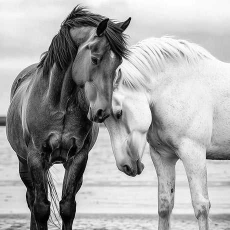 Black and white photo of two horses touching heads – emotional wildlife wall art