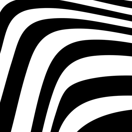 Bohemian collection black and white abstract wall art featuring monochrome graphics and design.