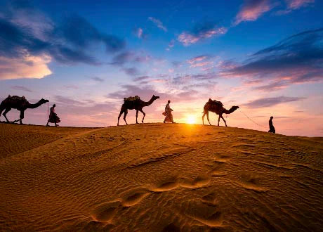 desert wall art collection