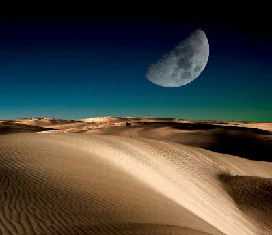 Dunes wall art collection