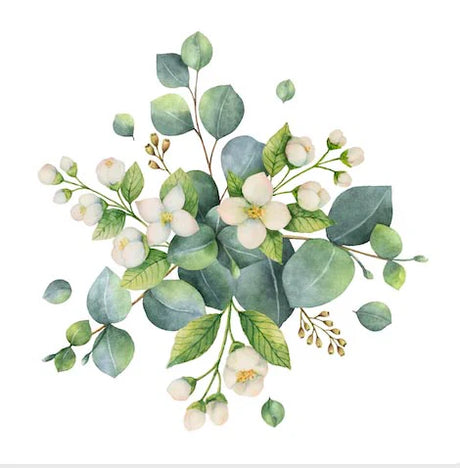 eucalyptus-wall-art-collection