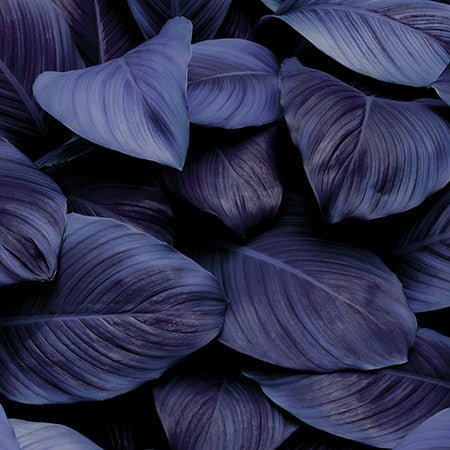 Dark violet tropical leaves – abstract botanical wall art texture