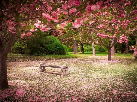 Gardens wall art collection