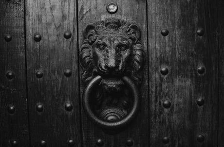 Monochrome still life image of a silver metal door knocker and handle in the Hardware collection