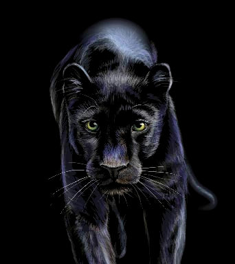 Jaguar wall art of sleek black panther in stalking pose on dark background, bold wildlife artwork for modern and dramatic home decor