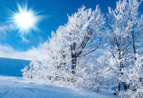 snowscapes-wall-art-collection