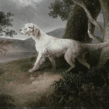 Vintage Animals collection wall art featuring a rare ancient dog breed, a gun dog from the carnivores canidae family, on canvas print.