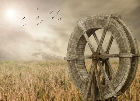 watermill-wall-art-collection