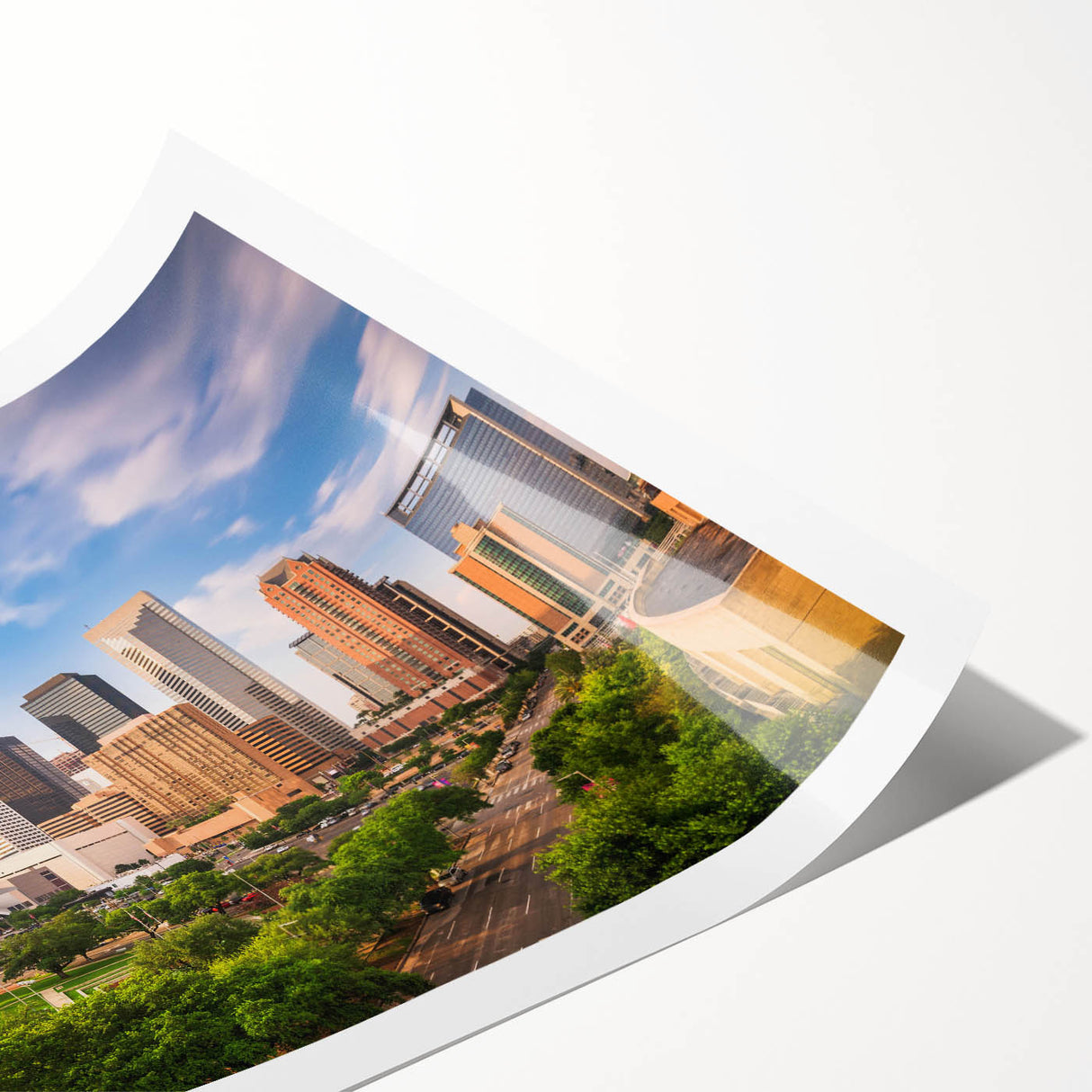 Extra large wall art featuring line art flowers in black on a white canvas, ideal for large living room decor.