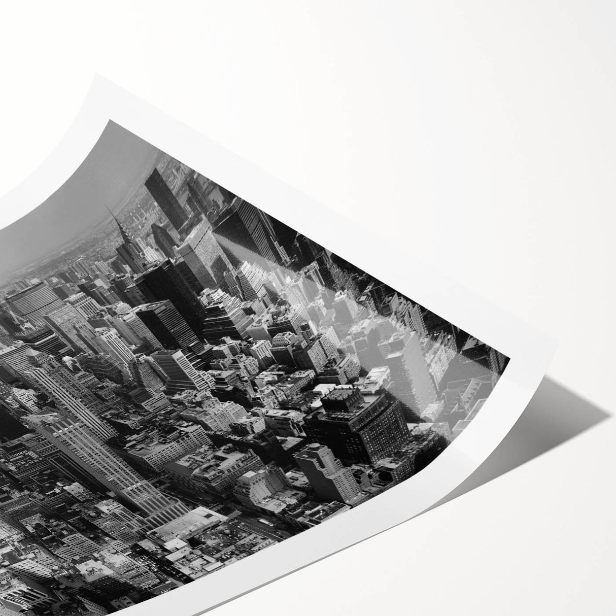 Extra large wall art featuring line art flowers in monochrome, ideal for large living room wall decor.