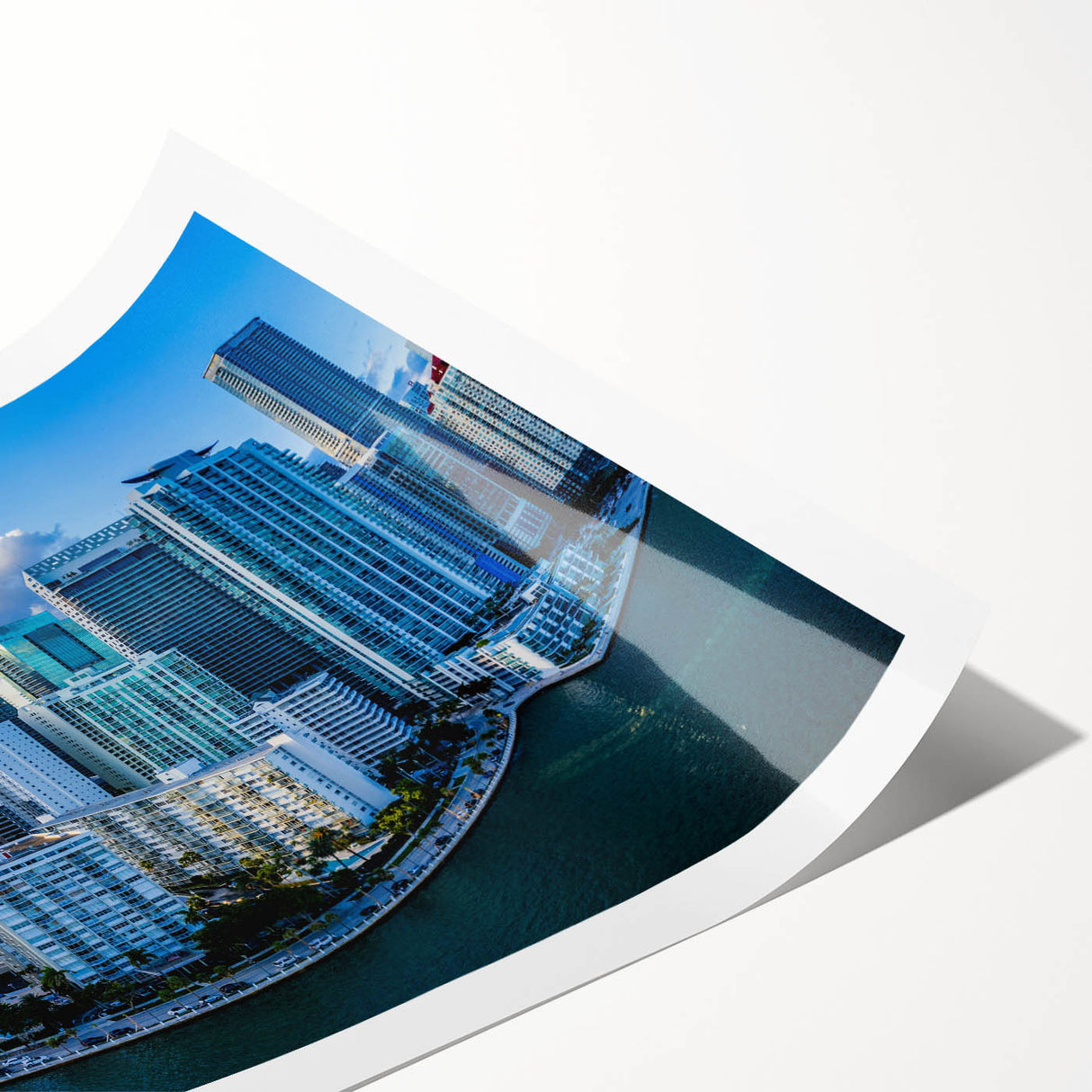 Extra large wall art featuring line art flowers in black on white canvas, ideal for large living room wall decor.