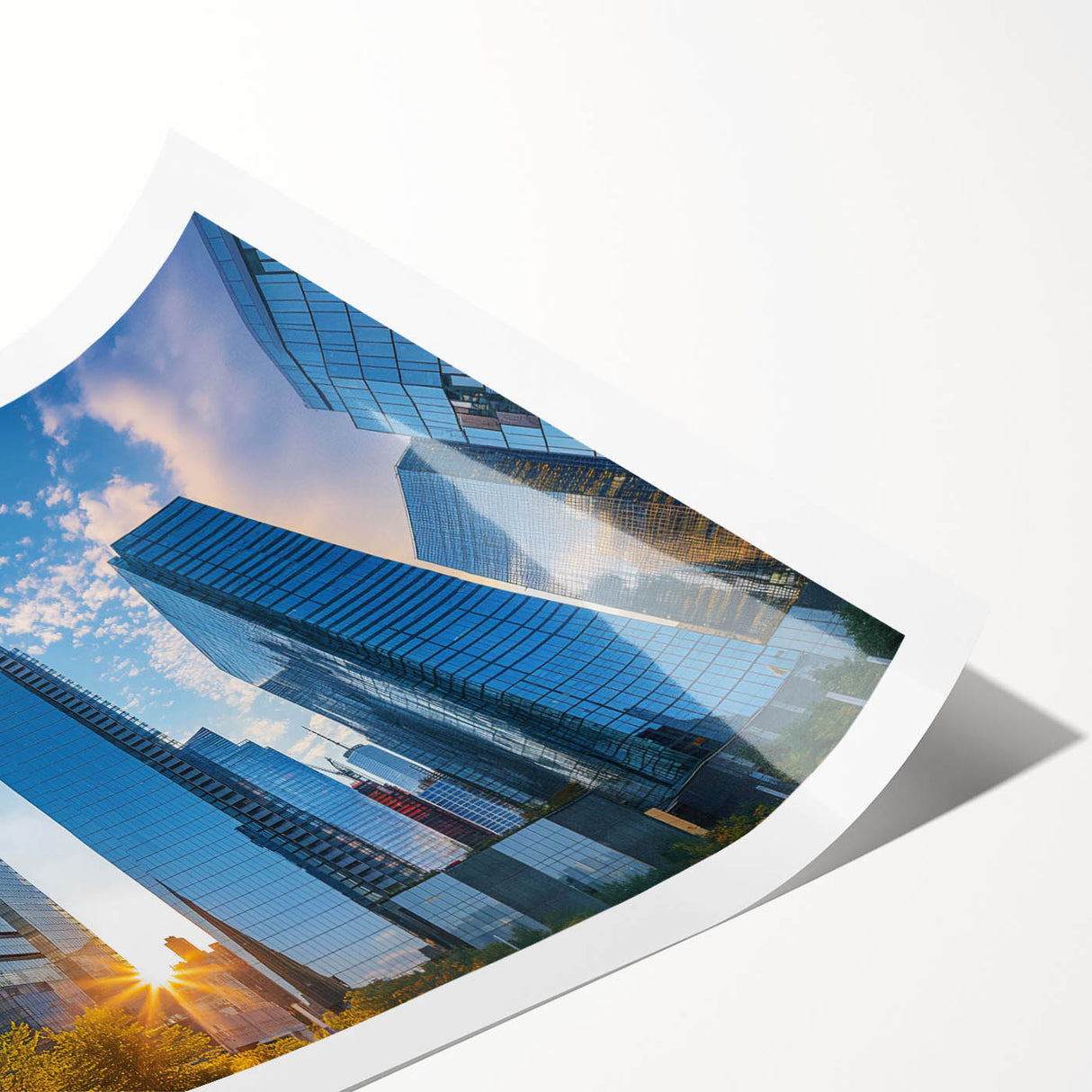 Extra large wall art featuring line art flowers in black on a white canvas, ideal for large living room wall decor.