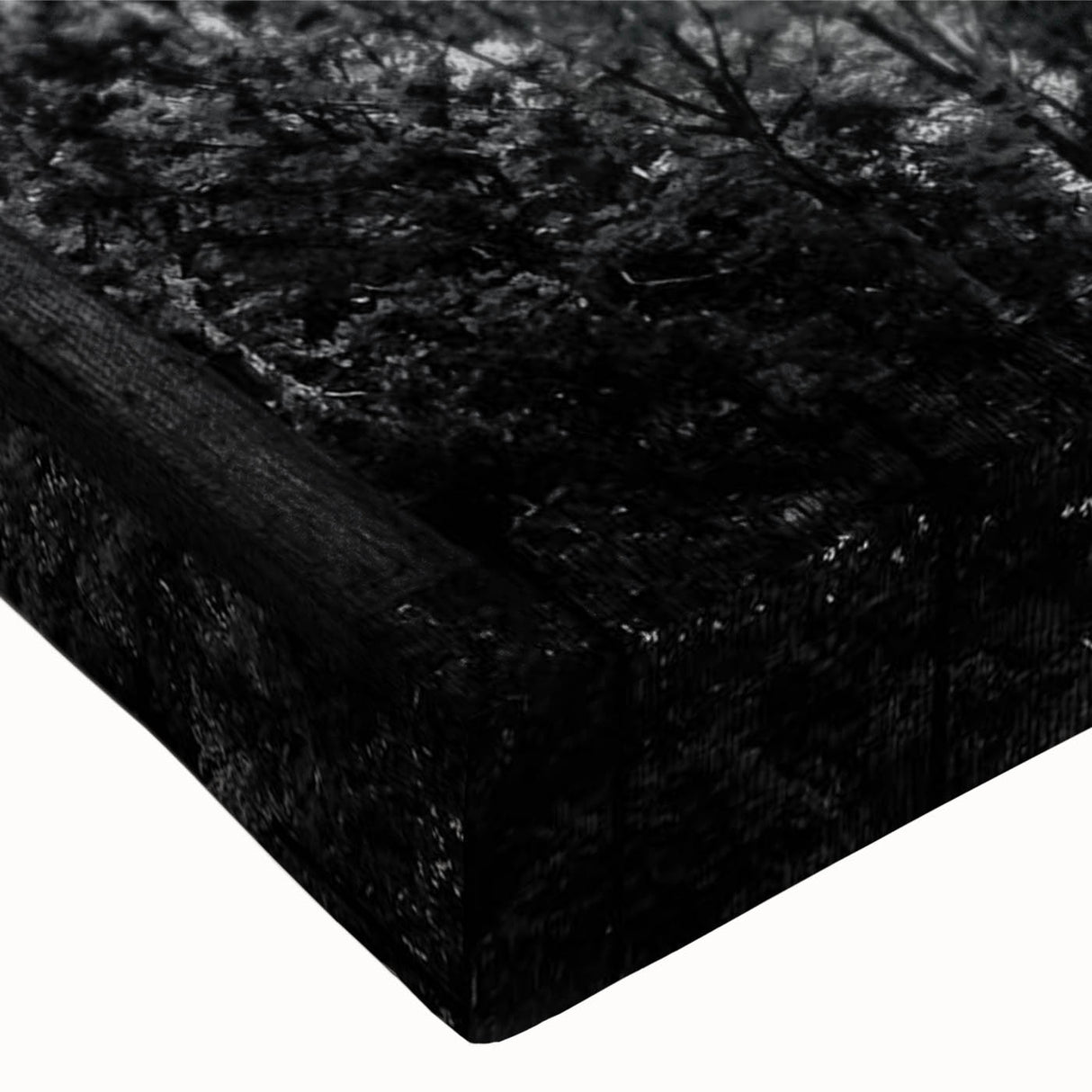 Large art depicting a serene landscape in black and white tones, printed on canvas, suitable for bedroom wall decor.