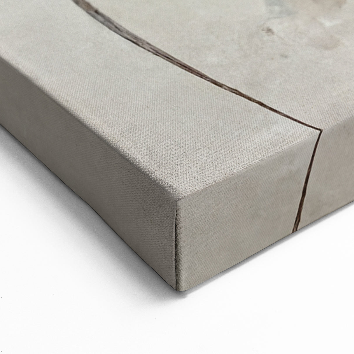 Ethereal White Blossoms Abstract Floral Canvas | Modern Wall Art