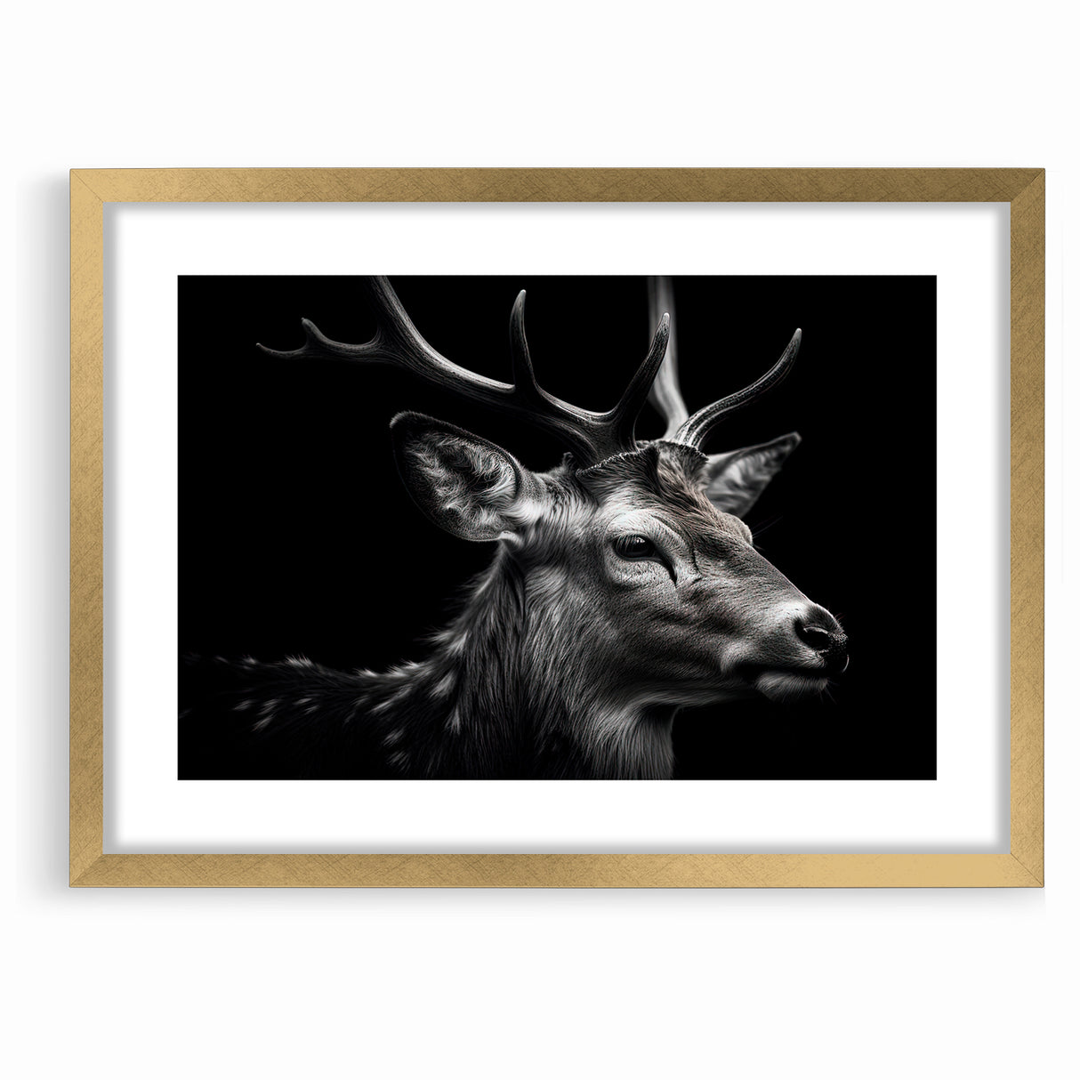 Majestic Antelope Wildlife Art - Stunning Black & White Antelope Canvas