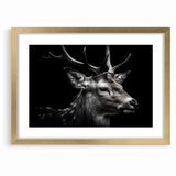 Majestic Antelope Wildlife Art - Stunning Black & White Antelope Canvas