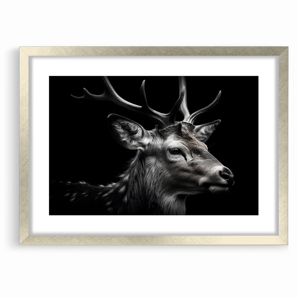Majestic Antelope Wildlife Art - Stunning Black & White Antelope Canvas