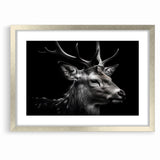 Majestic Antelope Wildlife Art - Stunning Black & White Antelope Canvas