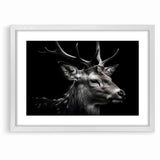Majestic Antelope Wildlife Art - Stunning Black & White Antelope Canvas