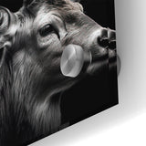 Majestic Antelope Wildlife Art - Stunning Black & White Antelope Canvas