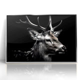 Majestic Antelope Wildlife Art - Stunning Black & White Antelope Canvas