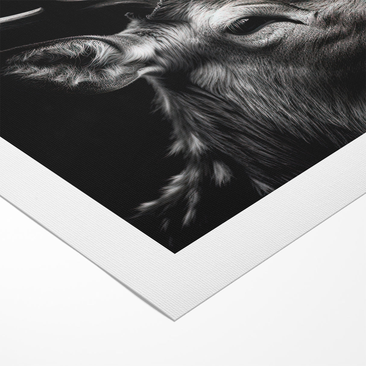 Majestic Antelope Wildlife Art - Stunning Black & White Antelope Canvas