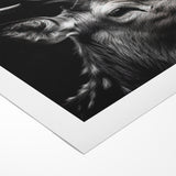 Majestic Antelope Wildlife Art - Stunning Black & White Antelope Canvas
