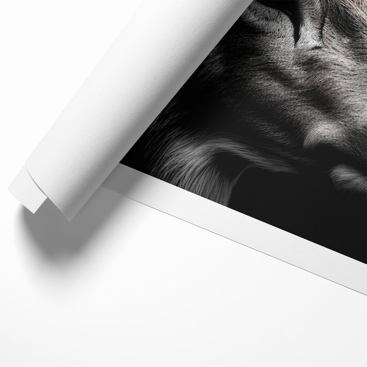 Majestic Antelope Wildlife Art - Stunning Black & White Antelope Canvas