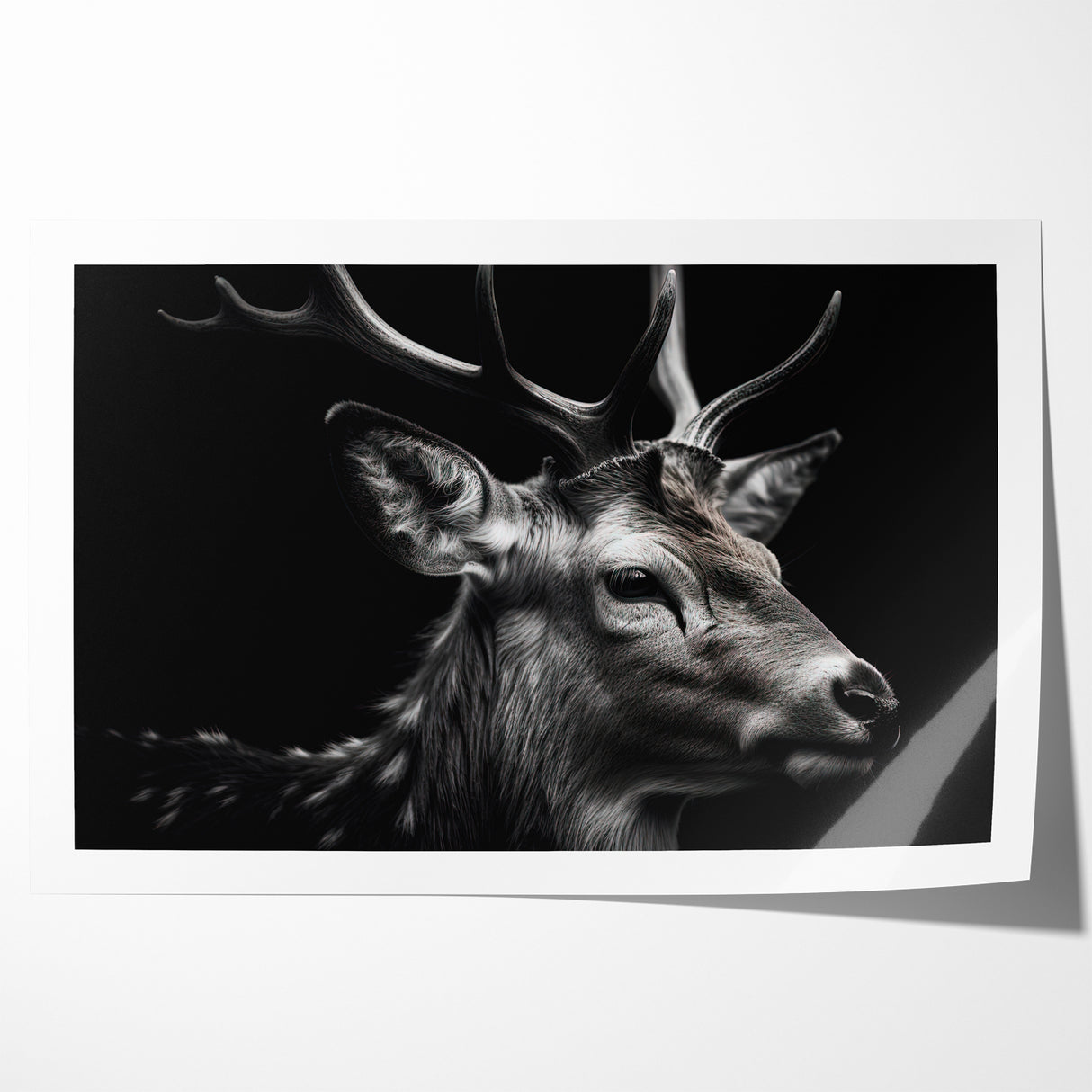 Majestic Antelope Wildlife Art - Stunning Black & White Antelope Canvas