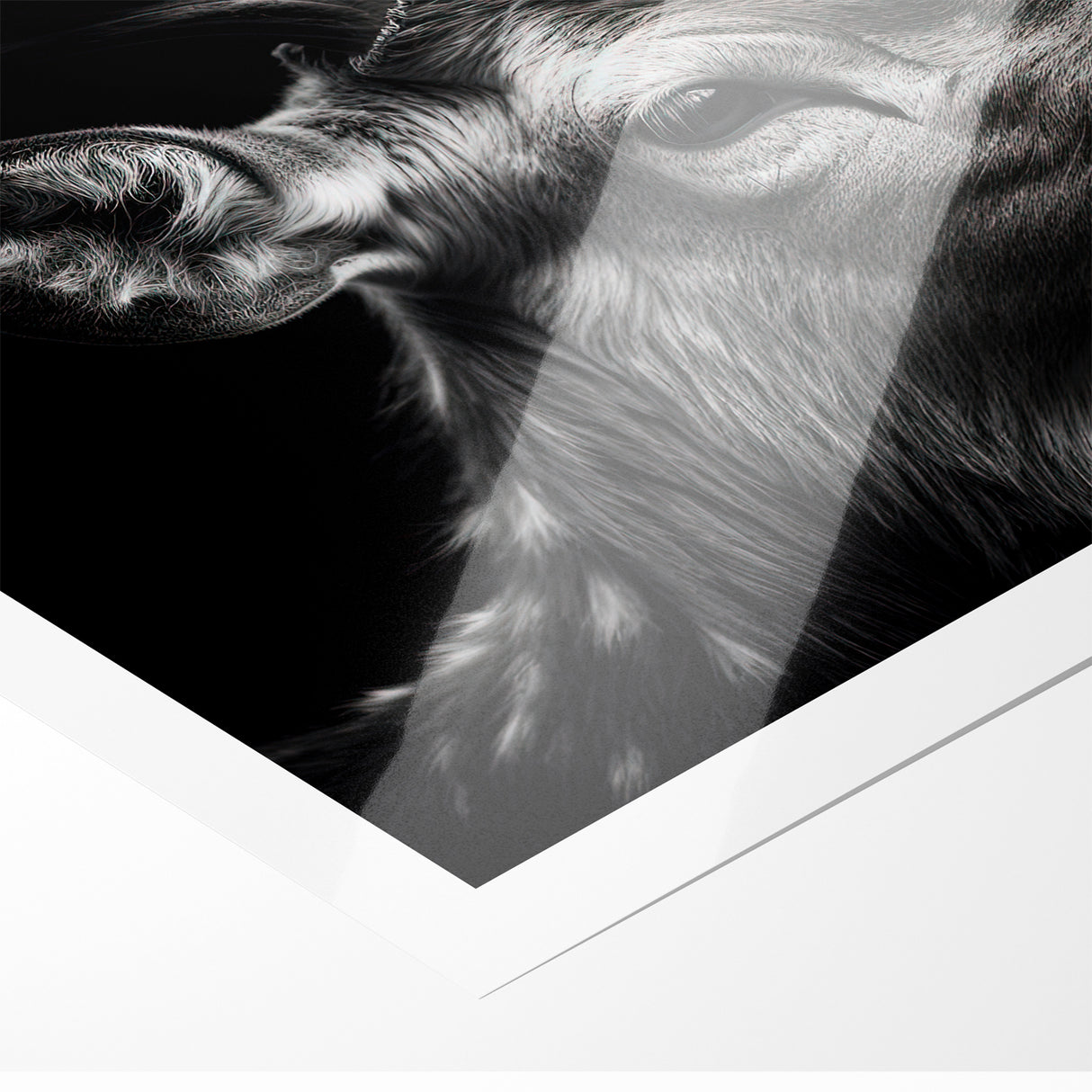 Majestic Antelope Wildlife Art - Stunning Black & White Antelope Canvas