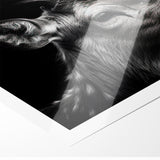 Majestic Antelope Wildlife Art - Stunning Black & White Antelope Canvas