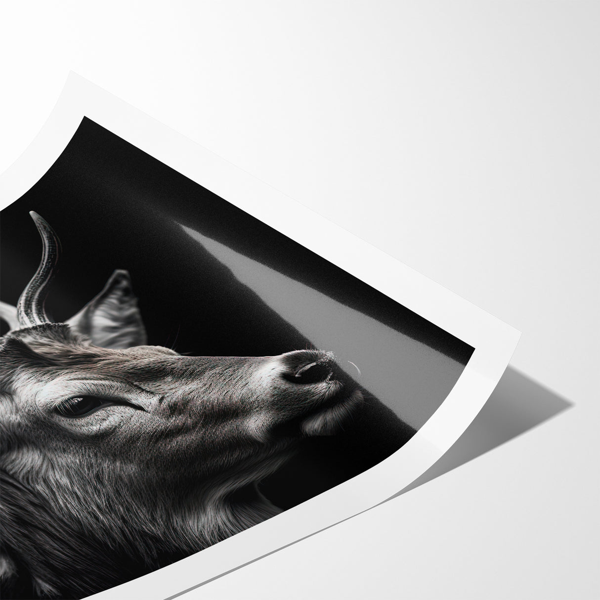 Majestic Antelope Wildlife Art - Stunning Black & White Antelope Canvas