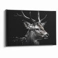 Majestic Antelope Wildlife Art - Stunning Black & White Antelope Canvas