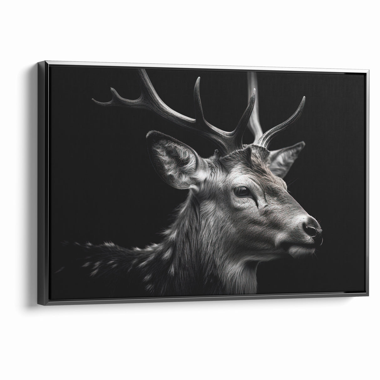 Majestic Antelope Wildlife Art - Stunning Black & White Antelope Canvas