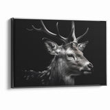 Majestic Antelope Wildlife Art - Stunning Black & White Antelope Canvas