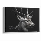 Majestic Antelope Wildlife Art - Stunning Black & White Antelope Canvas
