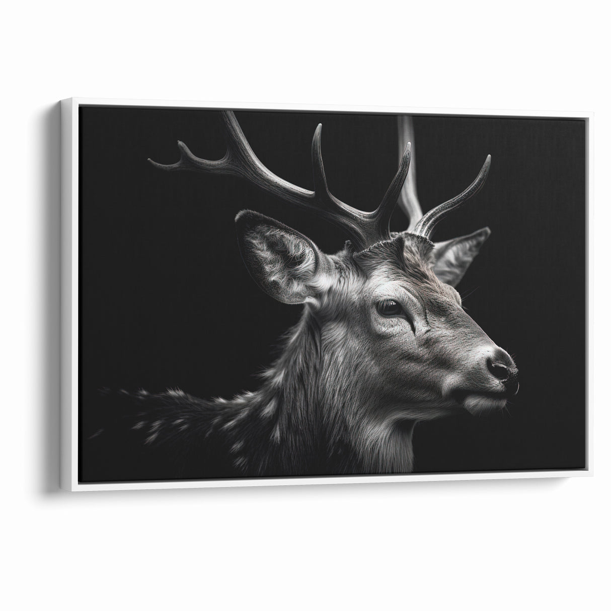 Majestic Antelope Wildlife Art - Stunning Black & White Antelope Canvas