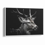 Majestic Antelope Wildlife Art - Stunning Black & White Antelope Canvas